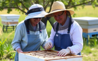 Beekeeping Grants and Training for Women in Texas: Funding, USDA Programs, Classes, and Steps to Start a Small Agricultural Business